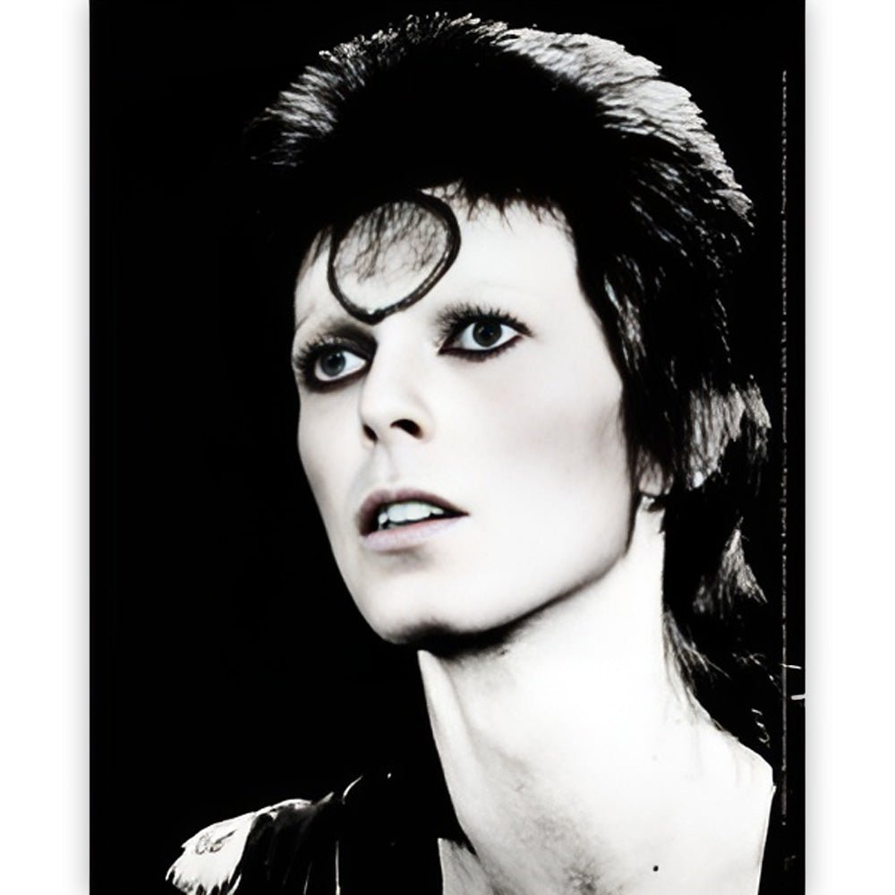 DAVID BOWIE デヴィッドボウイ - Black & White / ステッカー - PGS